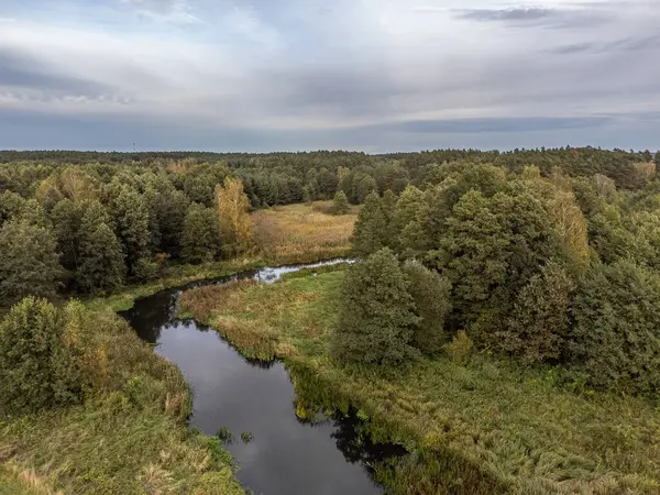 Вид Маленьку Дику Річку Центральній Польщі — стокове фото