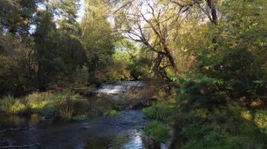 Orta Polonya 'da küçük, vahşi bir nehir manzarası.