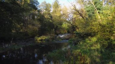 Orta Polonya 'da küçük, vahşi bir nehir manzarası.