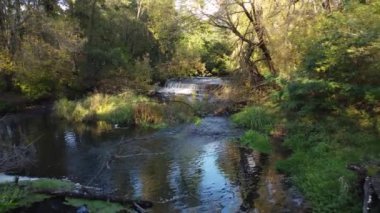 Polonya 'nın merkezinde küçük, vahşi bir nehir ve bir baraj manzarası.
