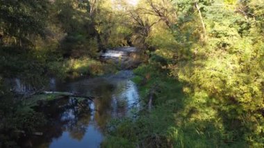 Polonya 'nın merkezinde küçük, vahşi bir nehir ve bir baraj manzarası.