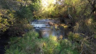 Polonya 'nın merkezinde küçük, vahşi bir nehir ve bir baraj manzarası.