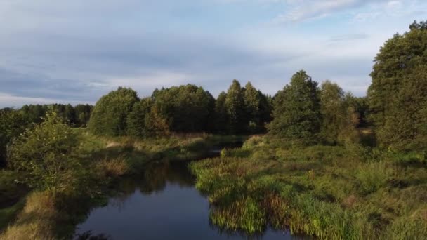 Θέα Ενός Μικρού Άγριου Ποταμού Και Ενός Φράγματος Στην Κεντρική — Αρχείο Βίντεο