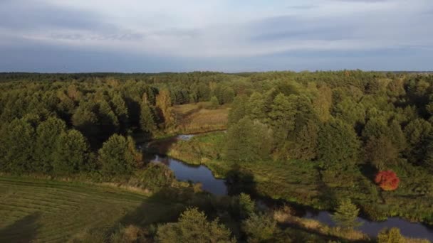 Widok Małą Dziką Rzekę Zaporę Centralnej Polsce — Wideo stockowe