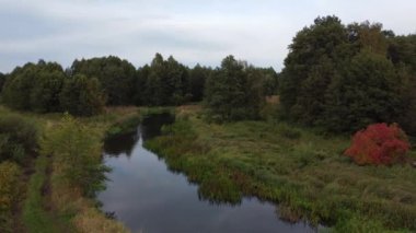 Polonya 'nın merkezinde küçük, vahşi bir nehir ve bir baraj manzarası.