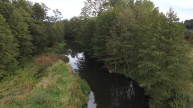 Polonya 'nın merkezinde küçük, vahşi bir nehir ve bir baraj manzarası.