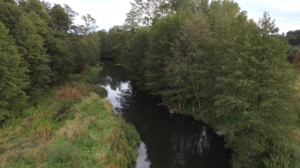 Vue Sur Une Petite Rivière Sauvage Barrage Dans Centre Pologne — Video
