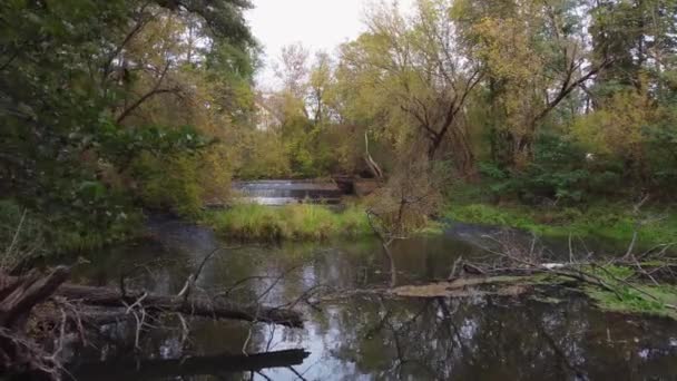 Blick Auf Einen Kleinen Wilden Fluss Und Einen Damm Mittelpolen — Stockvideo