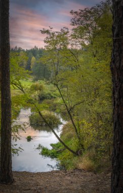Batan güneşle aydınlanan Grabia Nehri 'nde sonbaharın başlangıcı, Polonya.