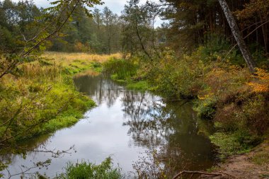 Batan güneşle aydınlanan Grabia Nehri 'nde sonbaharın başlangıcı, Polonya.