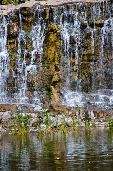 Waterrots Monteren Bij Waterval Natuur Achtergrond — Stockfoto