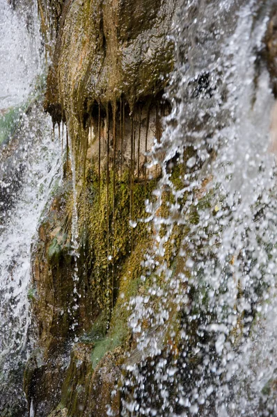 Roca Del Río Cascada Cascada Del Bosque Macro Fotografía Con — Foto de Stock