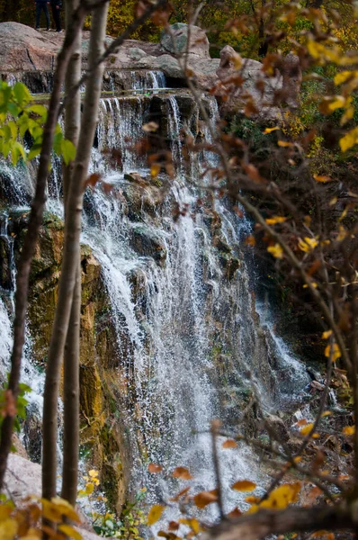 Vattenfall Hösten Med Trädgrenar Vild Natur — Stockfoto
