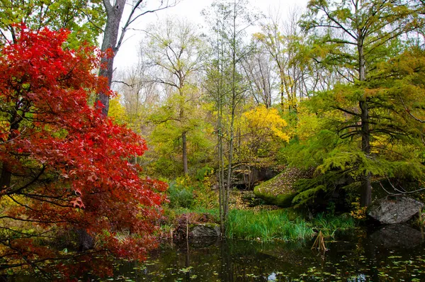 Осенний Природный Ландшафт Озером Речной Водой Деревья Красочными Листьями Осенний — стоковое фото