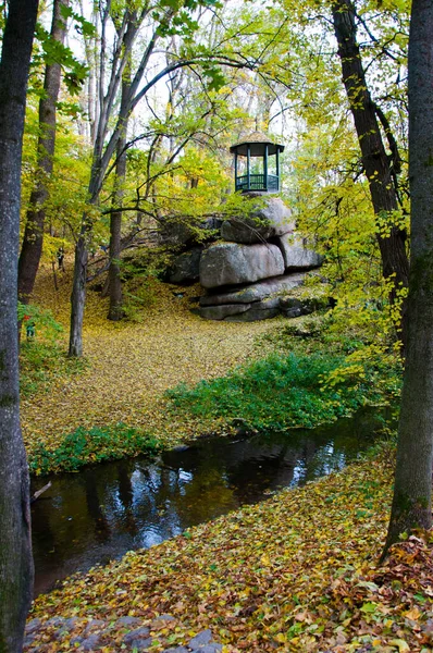 Осенний Лес Открытой Архитектурой Возле Реки Красота Природы Сезонный Осенний — стоковое фото
