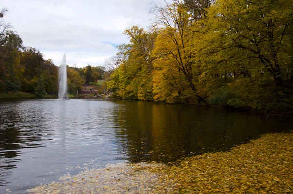 fountain in autumn nature with trees and lake with yellow fallen leaves in water.
