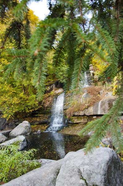 Waterval Natuur Landschap Met Wazig Dennenbos — Stockfoto