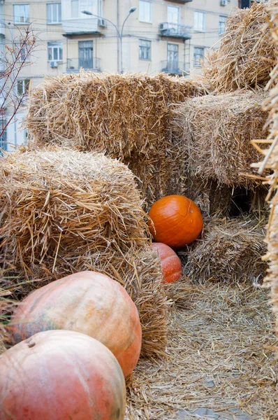 Hooi Met Oranje Halloween Pompoen Met Niemand Buiten — Stockfoto