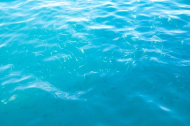 Balıklı okyanus suyu. Yaz tatili konsepti. su arkaplanı.