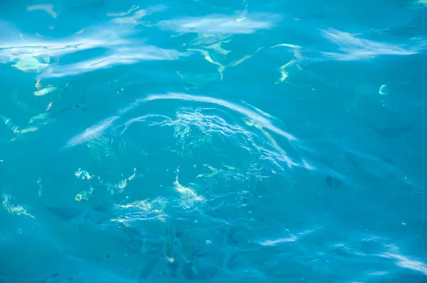 Havsblått Vatten Med Fisk Sommarsemester Bahamas Vattenbakgrund — Stockfoto