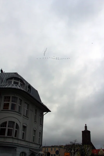 町家の建物の上に曇り空を飛ぶ渡り鳥屋外 — ストック写真