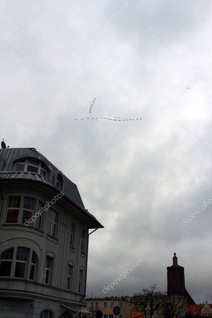 Migratory birds flying in cloudy sky over town houses building structure outdoors.