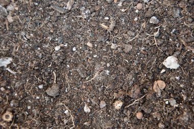 Organik toprak veya toprak yüzey dokusu çamur arkaplanı.