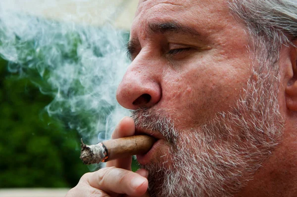 charismatic man smoking cigar. old man with cigar. man smoke cuban cigar. copy space.