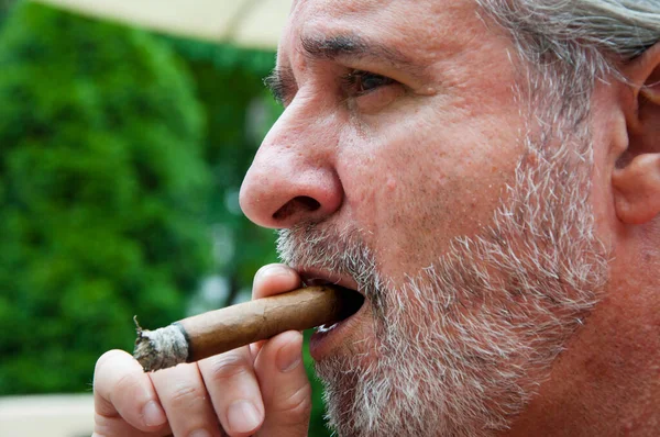 handsome man smoking cigar. old man with cigar. man smoke cuban cigar. copy space.