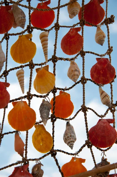 Seashell net sky background. Shell net hanging outdoors. Decorative net. Shell mobile crafts. Dreamcather decorated with seashells.