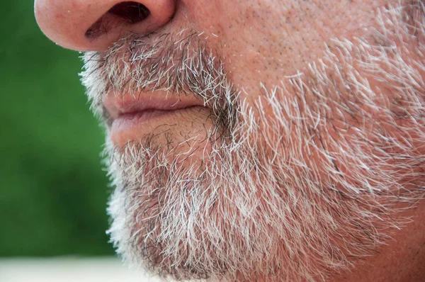 Hoary Hair Beard Old Man Cropped View — Stockfoto