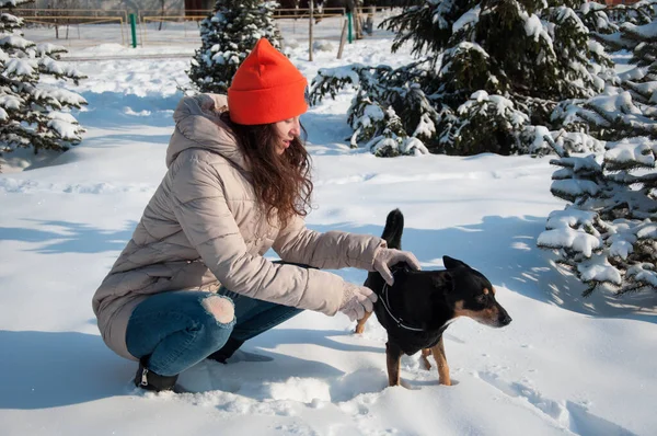 caucasian girl play with dog in winter. girl pet lover playing with her dog. girl outside with dog. playful dog outdoor with girl.