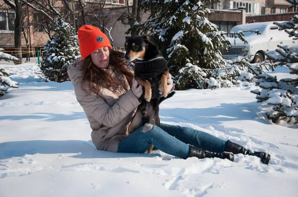 caucasian woman play with dog in winter. woman pet lover playing with her dog. woman outside with dog. playful dog outdoor with woman.