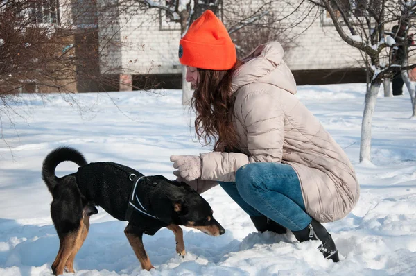 playful woman play with pet in winter. woman pet lover playing with her dog. woman outside with pet. playful pet outdoor with woman.