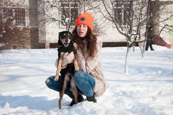 woman play with pet in winter together. woman pet lover playing with her dog. woman outside with pet. playful pet outdoor with woman.