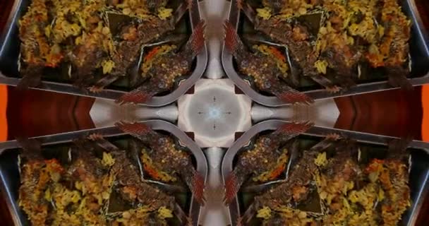 Beautiful Texture Kaleidoscopic Design Abstract Kaleidoscope Background Unique Kaleidoscope Animation — ストック動画