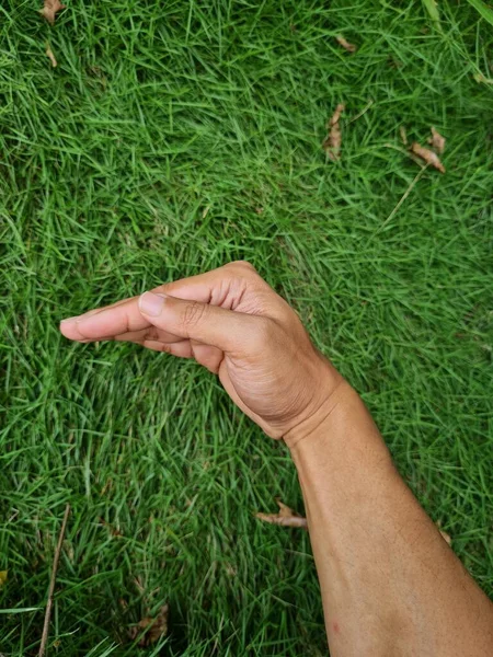 Foto Dibujada Mano Latar Hierba Verde — Foto de Stock