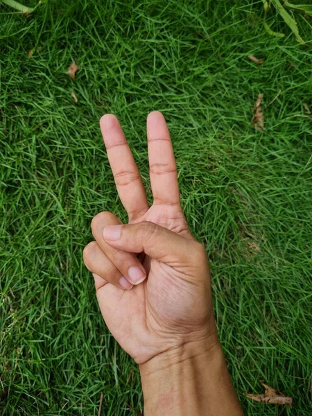 Ręcznie Rysowane Zdjęcie Zielonej Trawie Latar — Zdjęcie stockowe