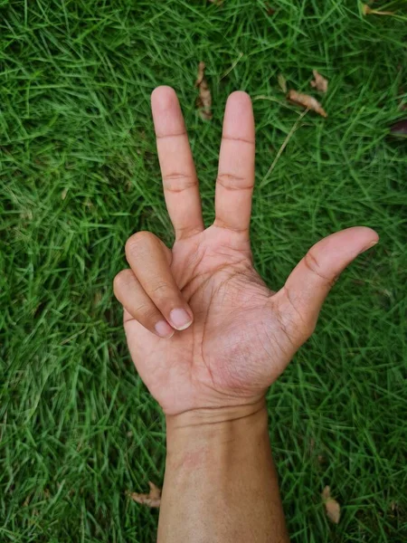 Ręcznie Rysowane Zdjęcie Zielonej Trawie Latar — Zdjęcie stockowe