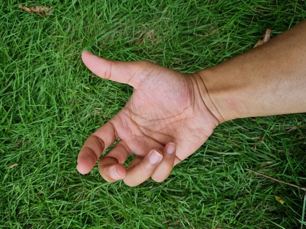 Foto Dibujada Mano Latar Hierba Verde — Foto de Stock