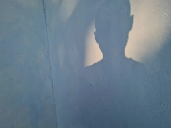 Abstrakter Hintergrund Des Jungen Schatten Auf Hauswand Blauer Farbe — Stockfoto