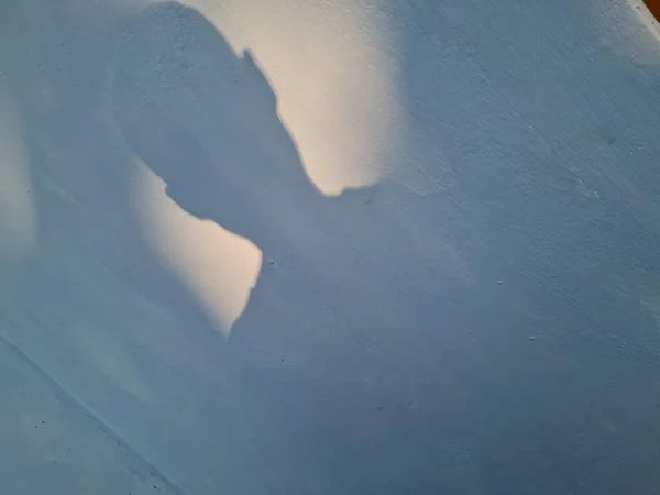 Abstrakter Hintergrund Des Jungen Schatten Auf Hauswand Blauer Farbe — Stockfoto
