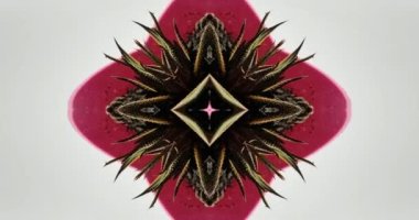 Güzel doku kaleydoskopik tasarım, soyut kaleydoskop arkaplan, eşsiz kaleydoskop animasyonu.