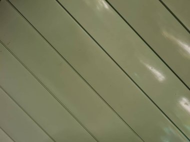 Yeşil banyo kapısı, paslanmaz çelikten siyah çizgili.