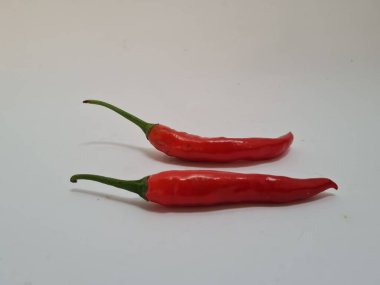 Beyaz arka planda yeşil saplı büyük kırmızı biber, bu kırmızı biber genellikle yemek pişirmek için kullanılan malzemelerden biridir.