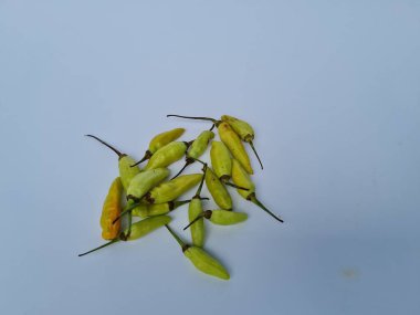 Beyaz ve mavi kombinasyonlarda izole edilmiş yeşil biber koleksiyonu.