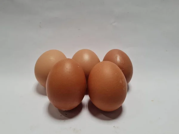 Five Brown Chicken Eggs White Background — Photo