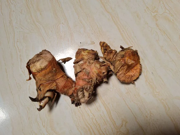 Brown Red Kitchen Spice Called Galangal — 스톡 사진