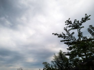 Mavi gökyüzünün doğal manzarası artı yeşil yapraklar