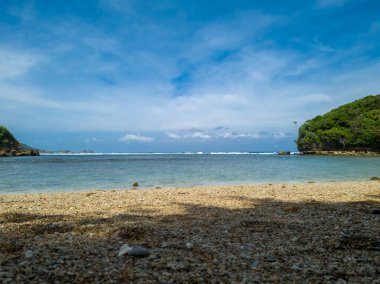 Deniz manzarası ve mavi gökyüzü artı yeşil yapraklar.